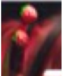 SWIMMER | ヘアゴム