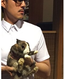 H&M | シャツ/ブラウス