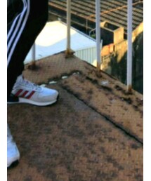 adidas | チノパンツ