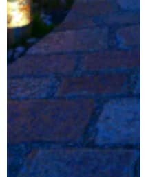 Y’s | ソックス/靴下