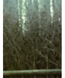 Y’s | ソックス/靴下