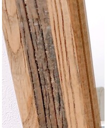 ariesmirage | Tシャツ/カットソー