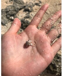 archives | トップス