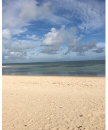 TOMS | ＜TOMS＞ORIGINAL CLASSIC スリッポンо(スリッポン)