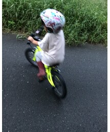 だいぶ慣れた | その他