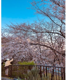 🌸🌸🌸 | その他