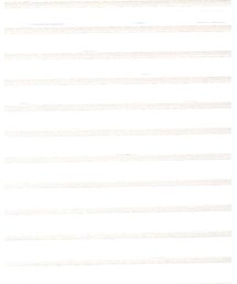 YEVS | シャツ/ブラウス