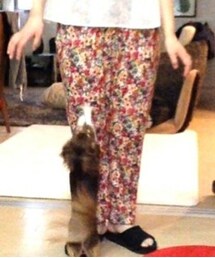 古着 | サロペット/オーバーオール