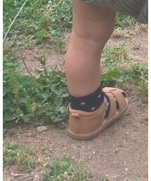 agnes b． VOYAGE | ソックス/靴下