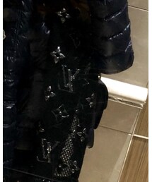 LOUIS VUITTON | マフラー