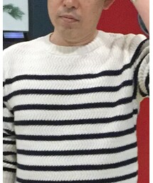 Vital MONSIEUR NICOLE | ニット/セーター