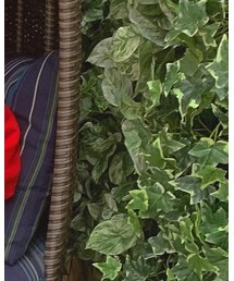 Lee | デニムパンツ