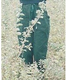 mina perhonen | パンツ