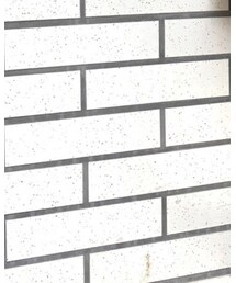 tutuanna | ソックス/靴下