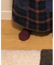 Birthday | タイツ/ストッキング