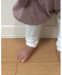 Birthday | タイツ/ストッキング