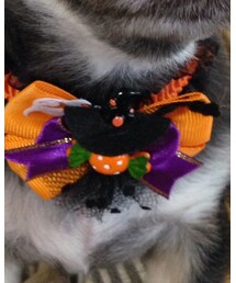 no brand | ファッション雑貨