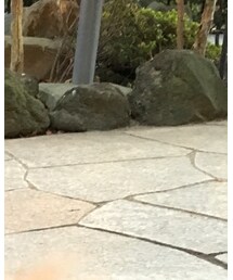 播磨坂 | その他