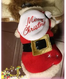 ライフライク | ペットウェア