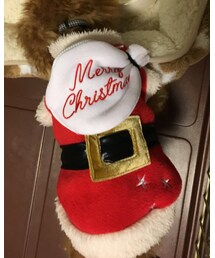 lifelike | ペットウェア