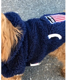 DOGDEPT | ペットウェア