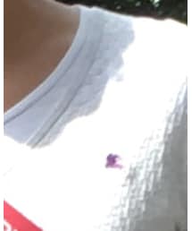 BURBERRY BLACK LABEL | Tシャツ/カットソー