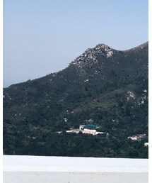 UNIQLO | シャツ/ブラウス