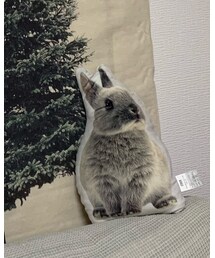 ニトリ | クッション/クッションカバー