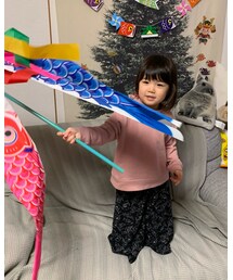大漁旗でも降ってるみたい🤣🚩 | インテリア