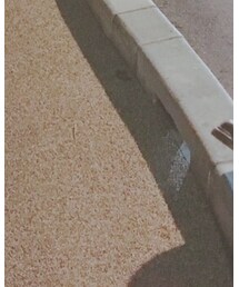 Dr. Martens | ブーツ