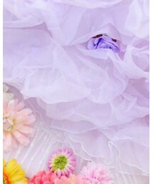 スタジオ | ドレス