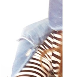 CECIL McBEE | デニムジャケット