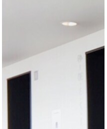 AURALEE | Tシャツ/カットソー