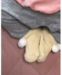 Birthday | ソックス/靴下