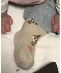 Birthday | ソックス/靴下