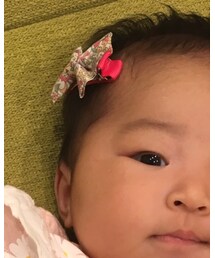 Bijoux & Bee | バレッタ/ヘアクリップ