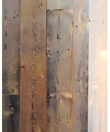 HARE | Tシャツ/カットソー