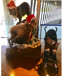 🦌🦌🦌 | その他