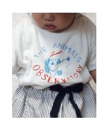 The Animals Observatory | Tシャツ/カットソー
