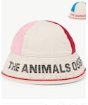 The Animals Observatoryの「帽子(ハット)」