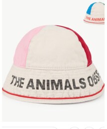 The Animals Observatory | ハット