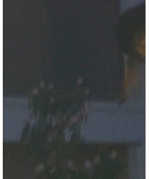 Guess | Tシャツ/カットソー