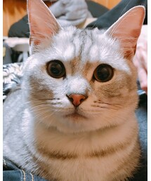 フォロワー増えたらインスタしなきゃ！ | その他