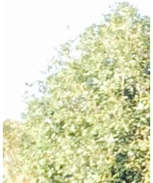 セレクトショップ | ハット