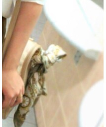 used | バンダナ/スカーフ