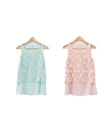 微風輕拂雕花上衣(その他トップス)