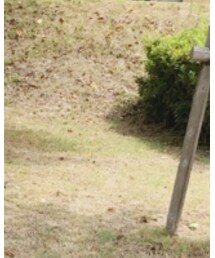 H&M | サングラス