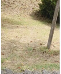 GU | タンクトップ