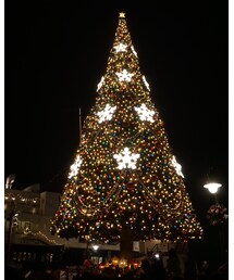 Tokyo Disney Sea | 20151206 クリスマスディズニー(照明)