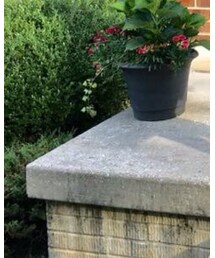 Nordstrom | パンプス